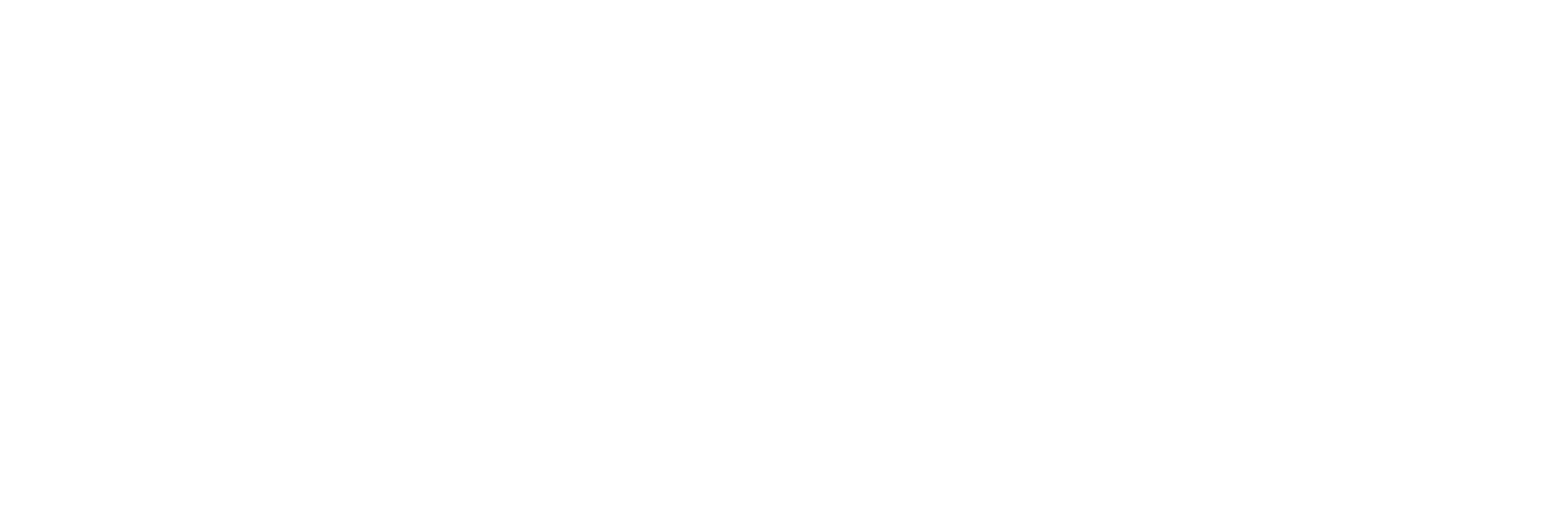 Zonas 11